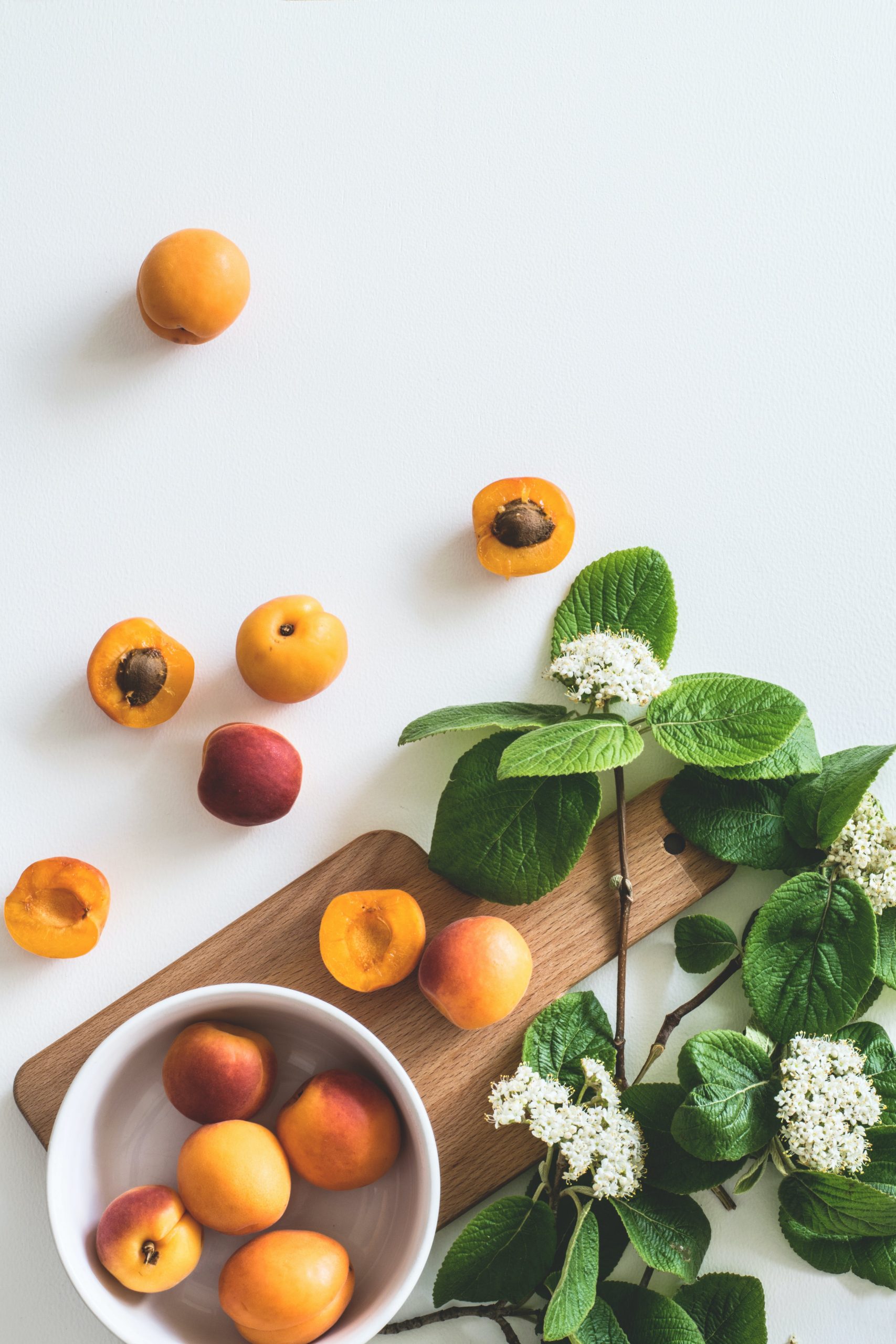 Consultation nutritionnelle avec Orlane Brasseur