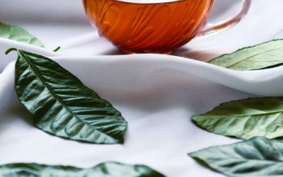 Nutritionniste à proximité de Saujon 