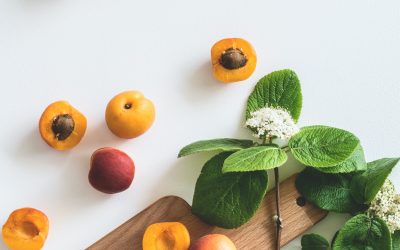 Nutritionniste experte en TCA à Royan